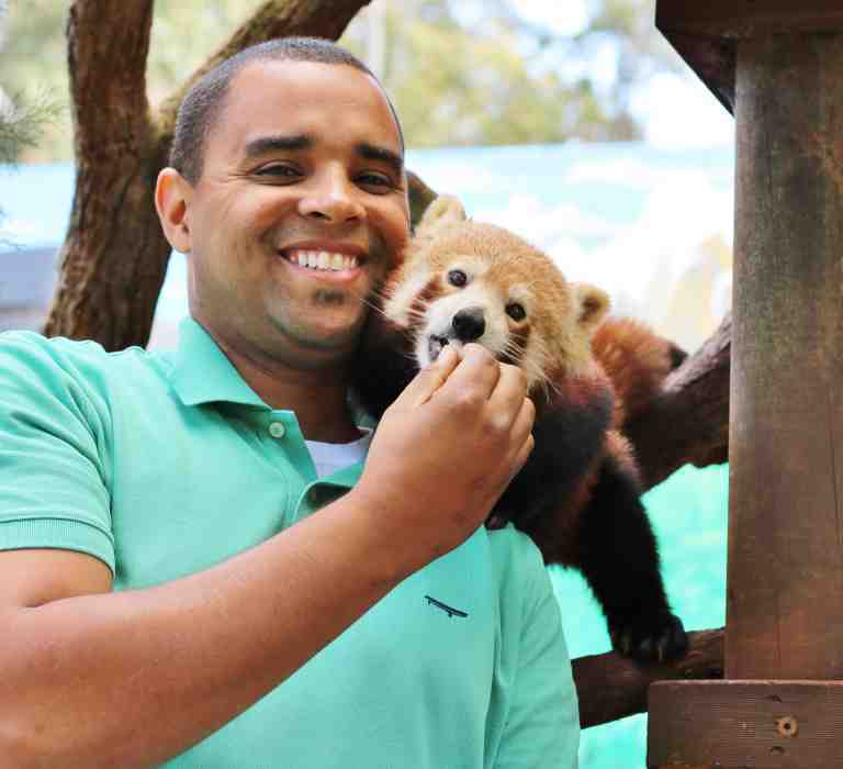 Red Panda