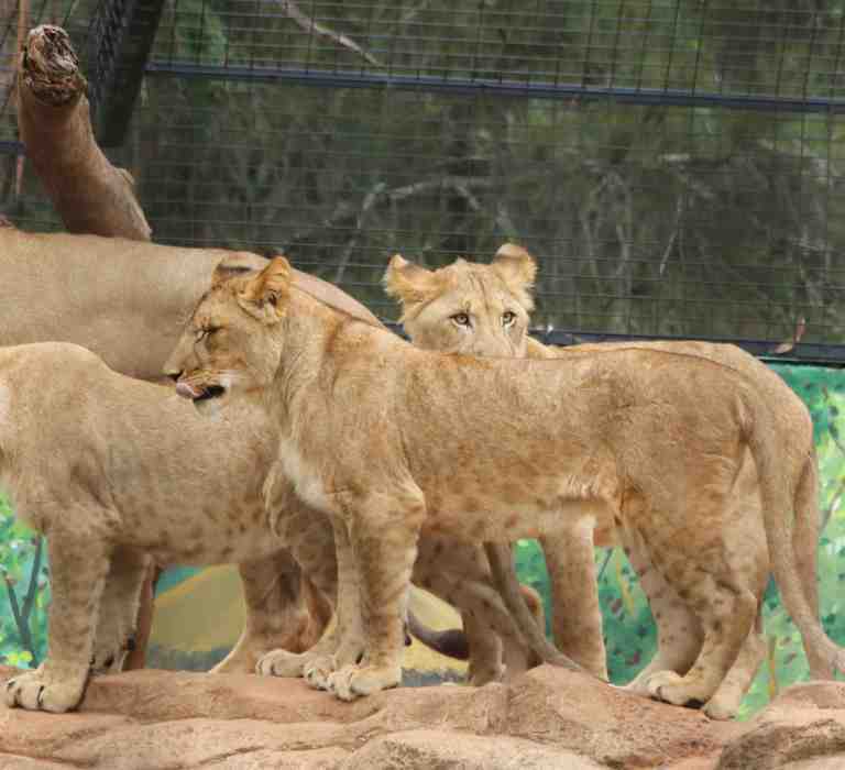 Play Group Room Hire