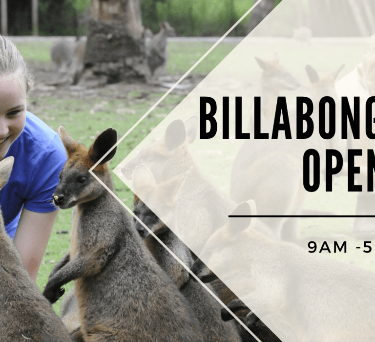 Billabong Zoo, Port Macquarie is Open!