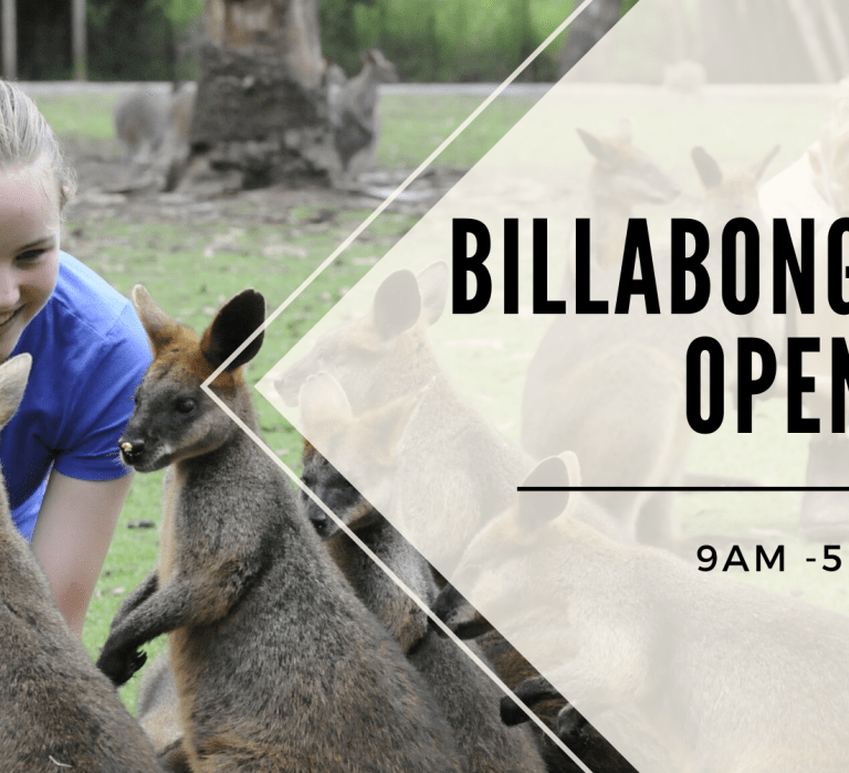 Billabong Zoo is open!