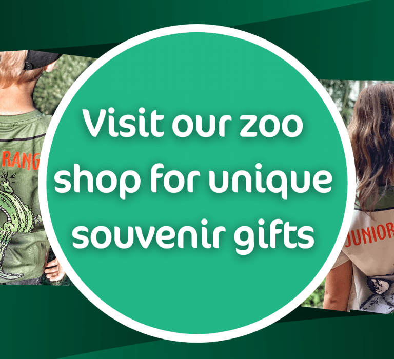 Visit our zoo shop for unique souvenir gifts