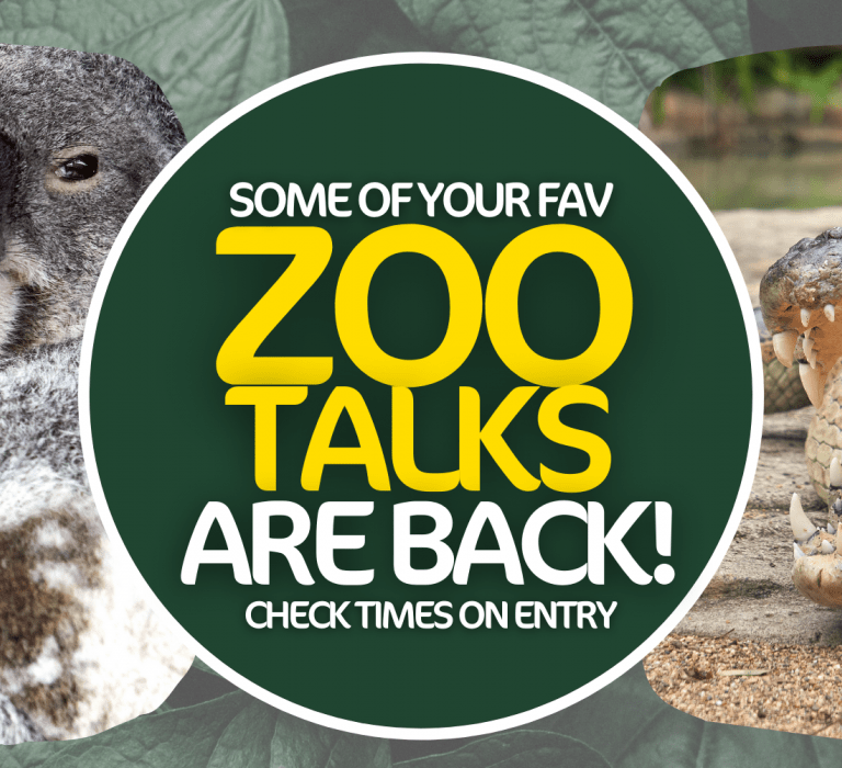 Zoo talks are back