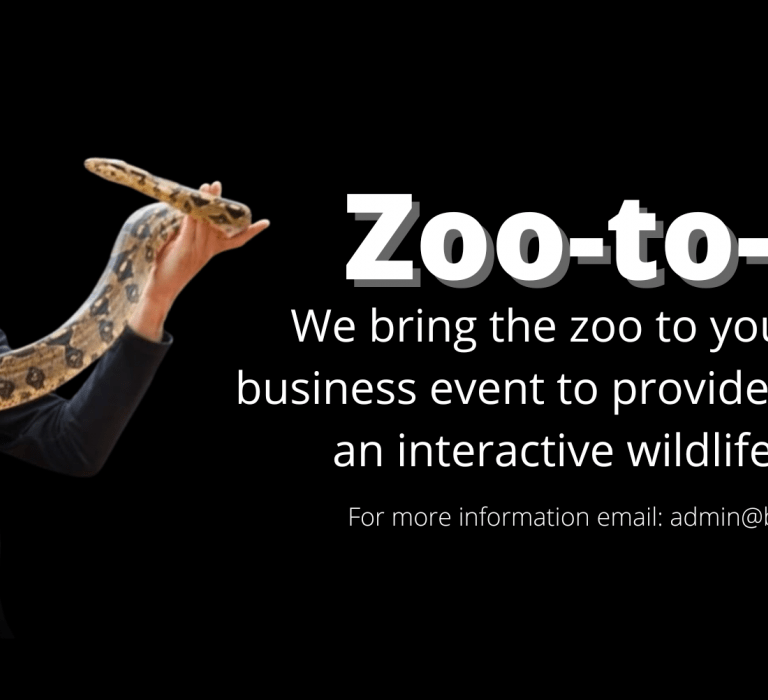 Zoo-to-you