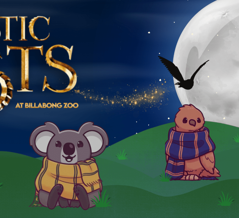 Harry Potter Night