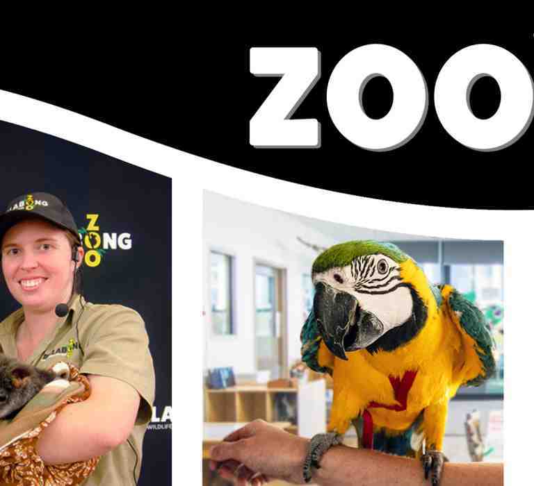 Zoo2U from Billabong Zoo