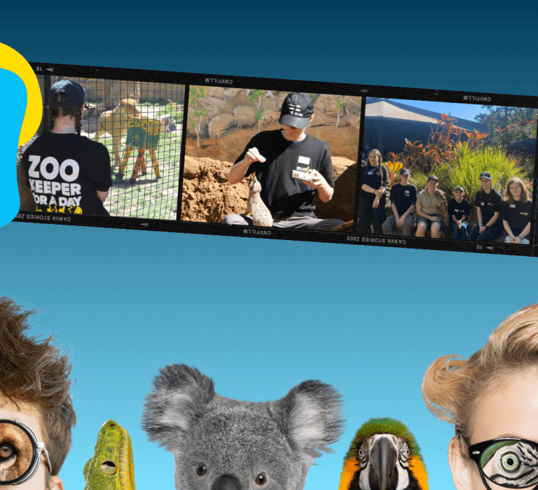 Teen Zoo Keeper for a Day