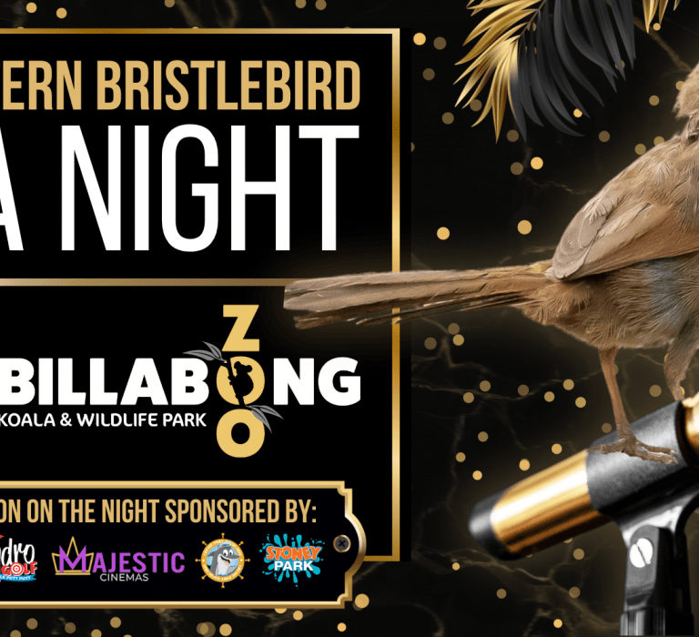 Save the Eastern Bristlebird