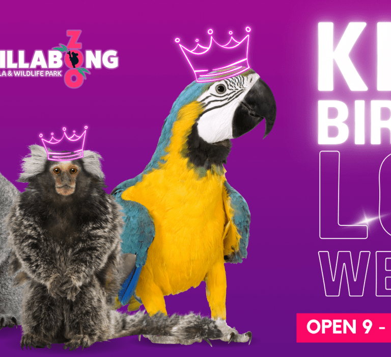 Open All Long Weeknd