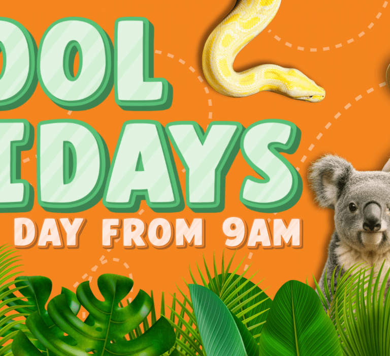Billabong Zoo open every day these school holidays