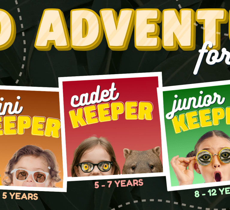 List of all the Keeper Kidz programmes available at Billabong Zoo