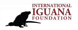 International Iguana Foundation