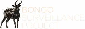 Bongo Surveillance Project