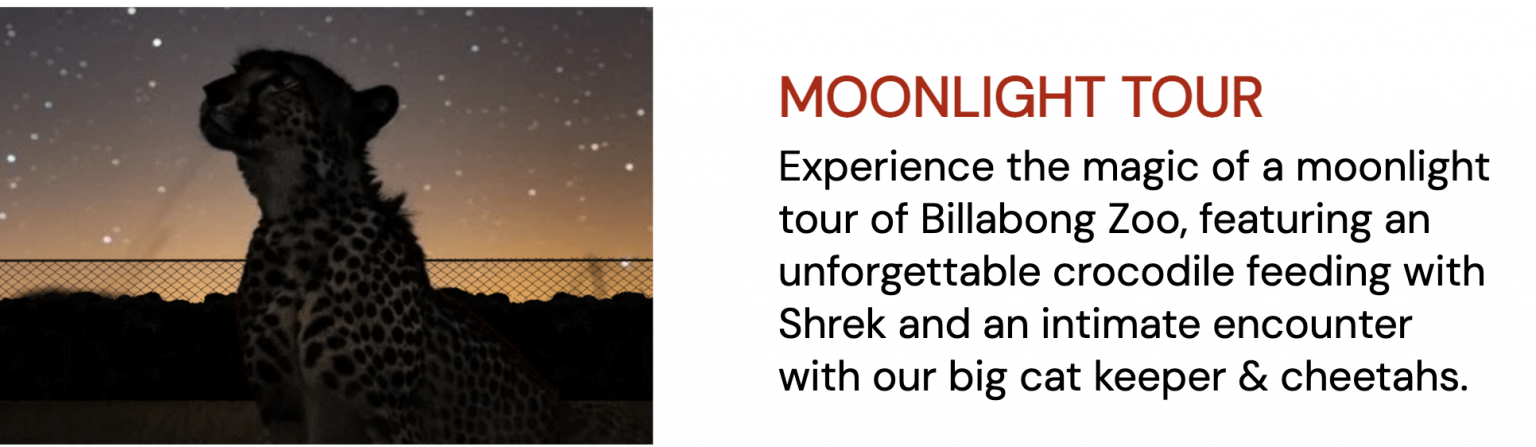 Moonlight Zoo Tour