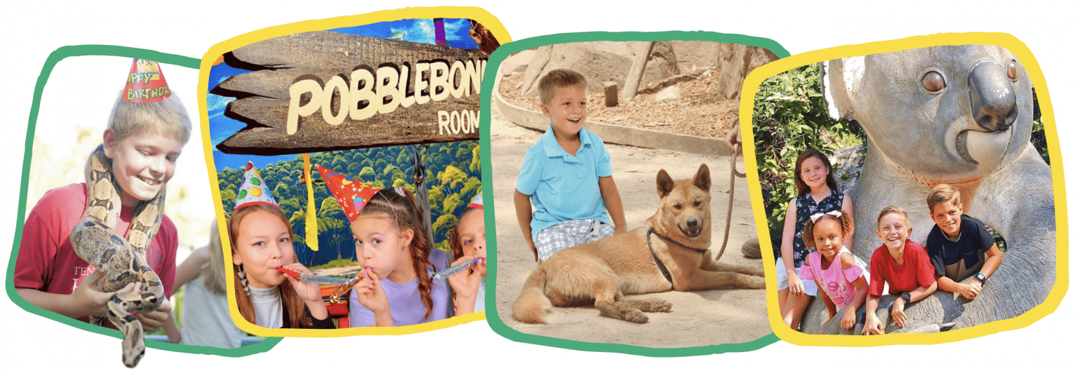 Birthday Kids Having a Wild Time at Billabong Zoo