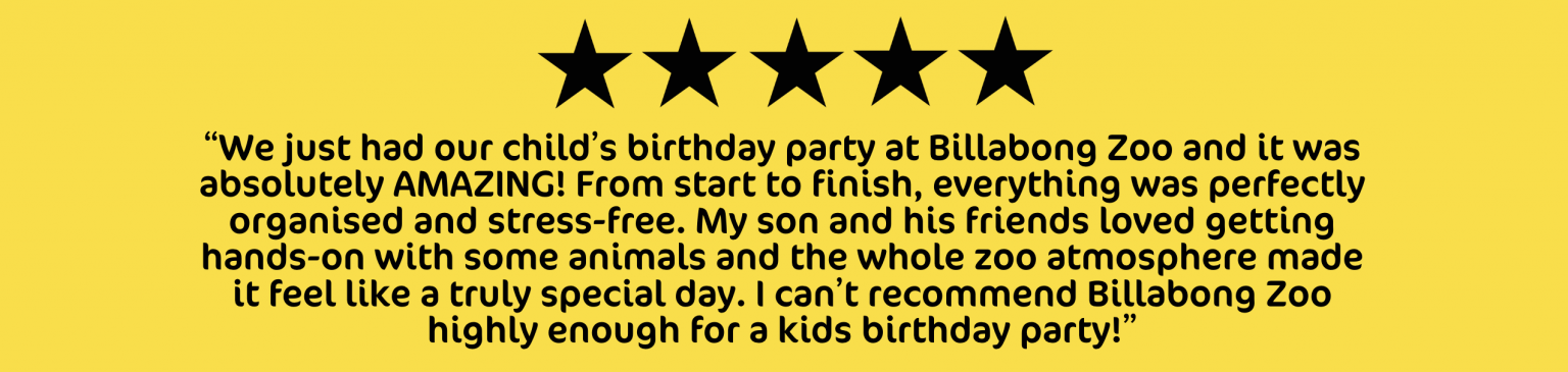 A 5 Star Review of Billabong Zoo Kid's Parties