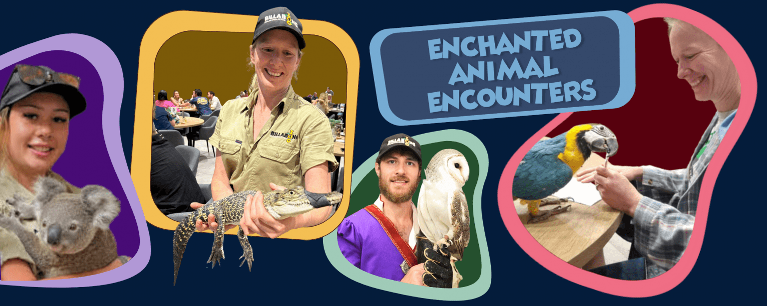 Animals to the Room Personal Encounters Fun