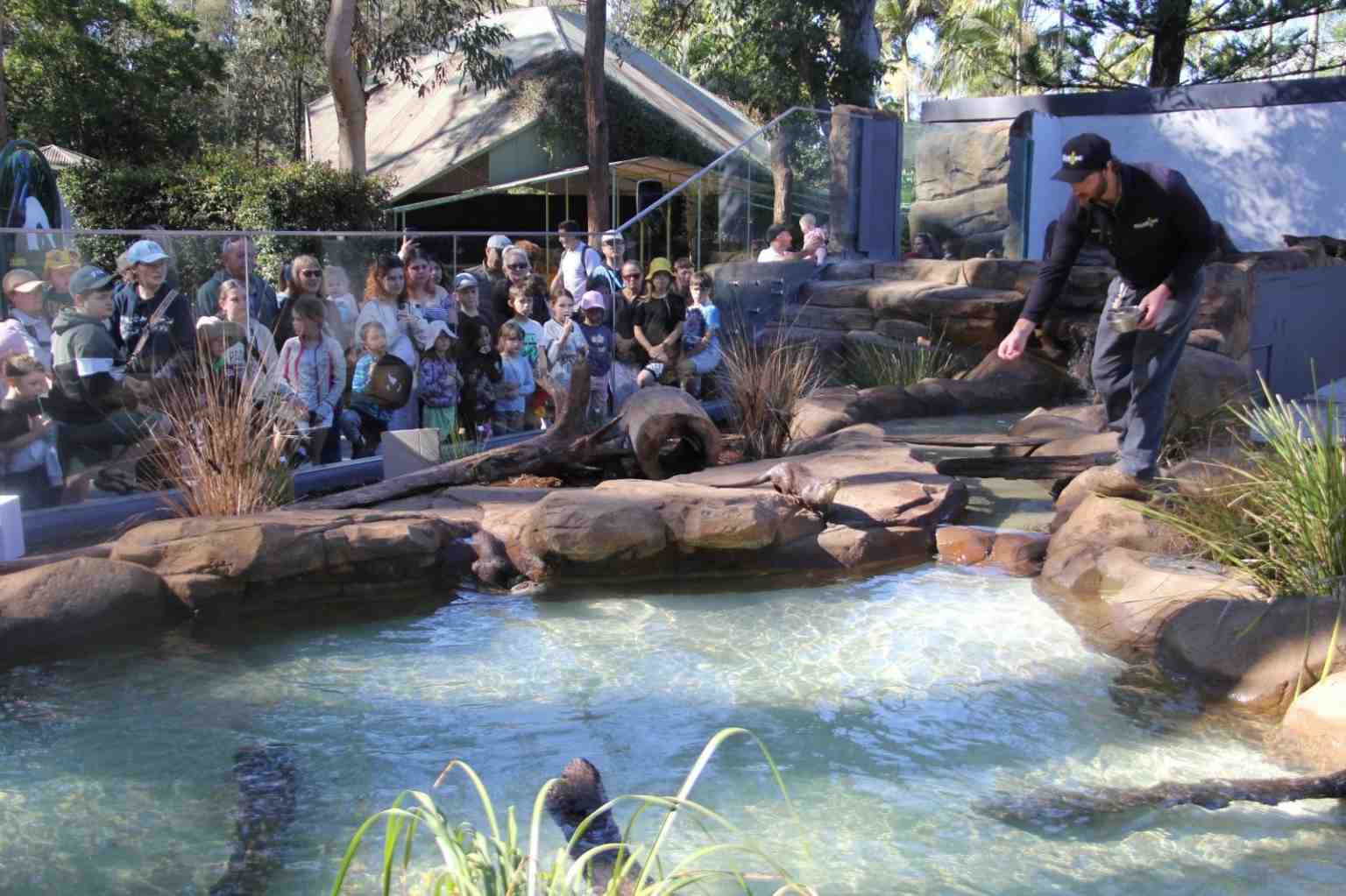 Blake Stone Keeper Feeding Otters for our Annual Pass Members