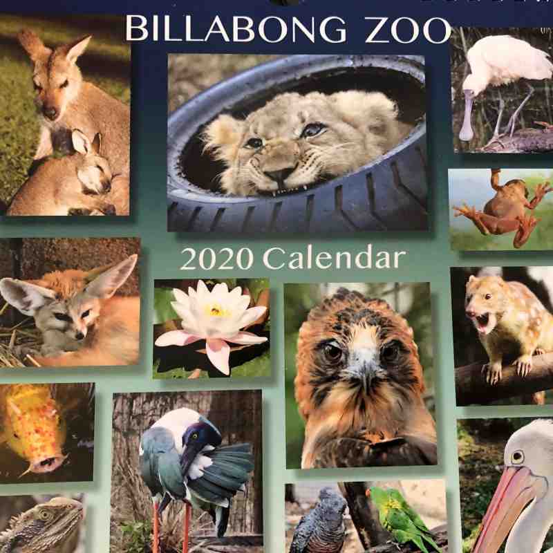 Billabong Zoo Calendar 2020