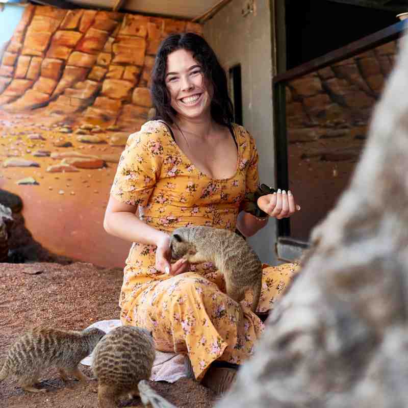 Personal Animal Encounters at Billabong Zoo, Port Macquarie