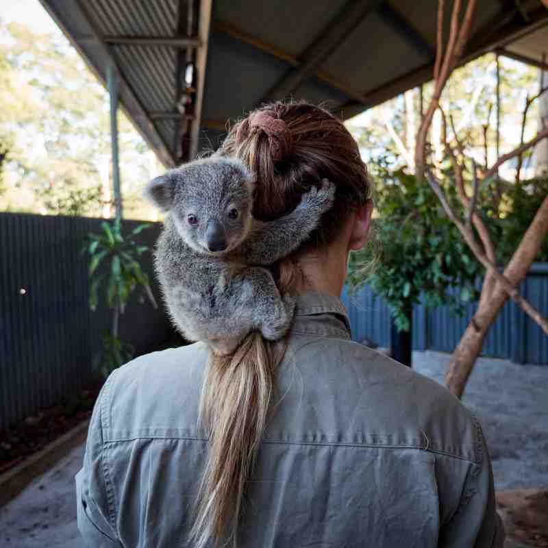 Simone Popp, Zoo Keeper at Billabong Zoo